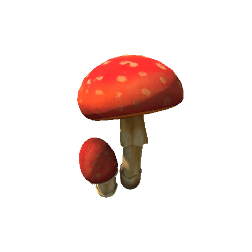 Tree Mushroom1